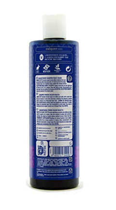 Valquer Profesional Champú Power Color cabellos teñidos. Vegano Y Sin Sulfatos (Violeta). Potenciador color cabello - 400 ml.