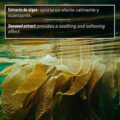 D´Bullón Líquido para Vendas Frías, Reafirma y Reduce El Volumen. Vegano. Con extractos vegetales naturales y algas marinas. Reduce el contorno - 1000 Ml