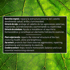 Válquer Premium Ice Hair Mask Mascarilla Capilar Efecto Hielo Ultrahidratante, Sin Sulfatos, Sin Sal, Sin Parabenos, Sin Sulfatos, Cabellos Secos, Hidratación Capilar, Único, 1 Litro